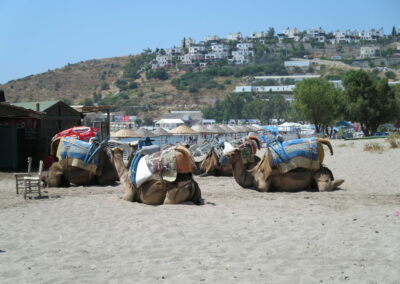 Starting my travel story with a memory from Turkey 🇹🇷