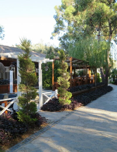 An Evening of Show Cooking at Voyage Torba